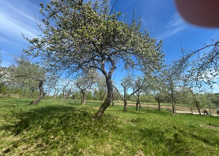 Swietokrzyski Klimacik